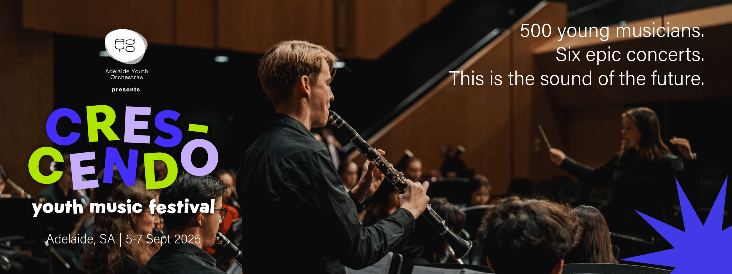 Website banners 2025(1)