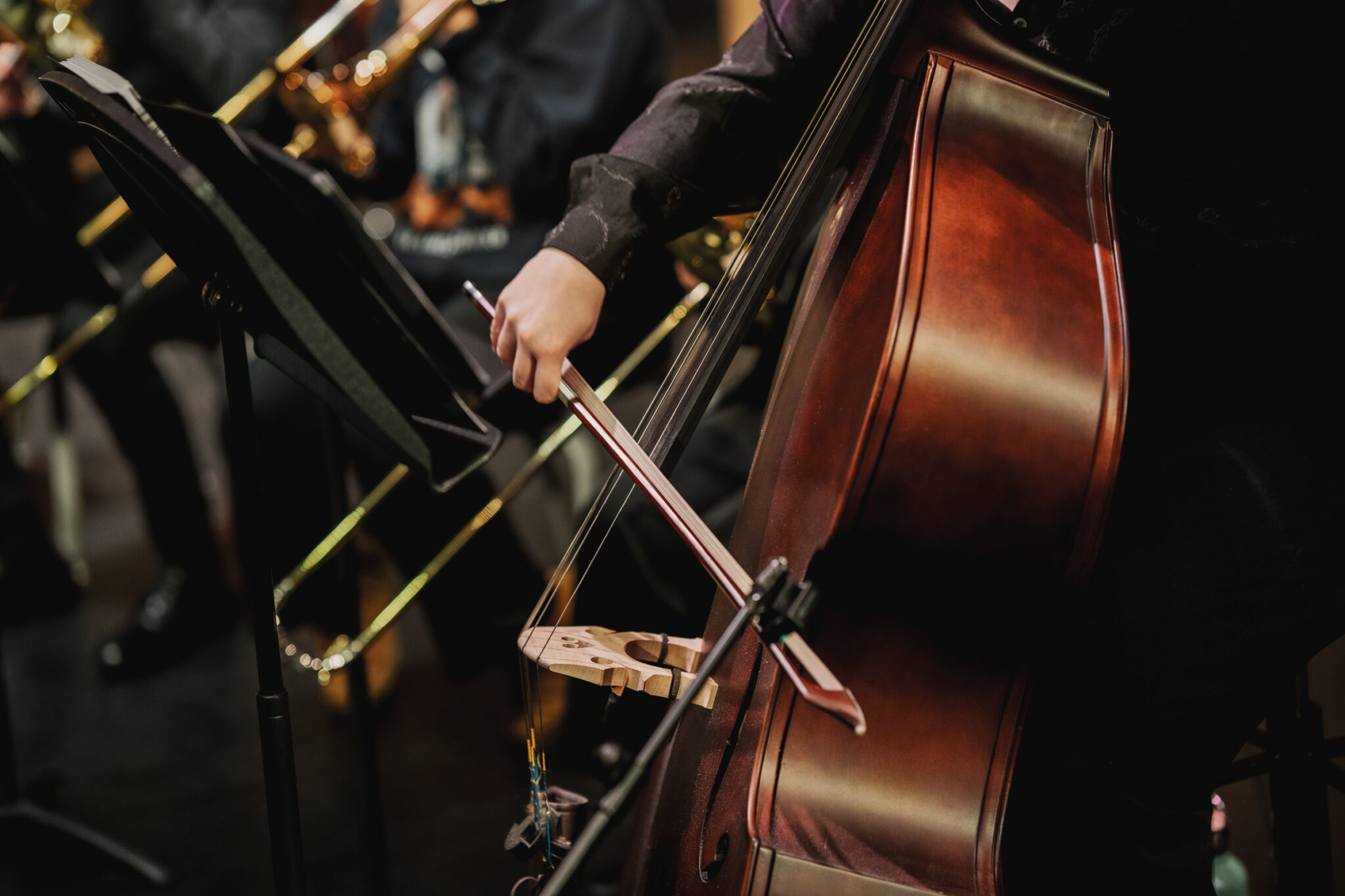 What’s On Old – Adelaide Youth Orchestras 2026